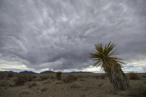 Monsoon storms return to Las Vegas with scattered rain chances into Saturday