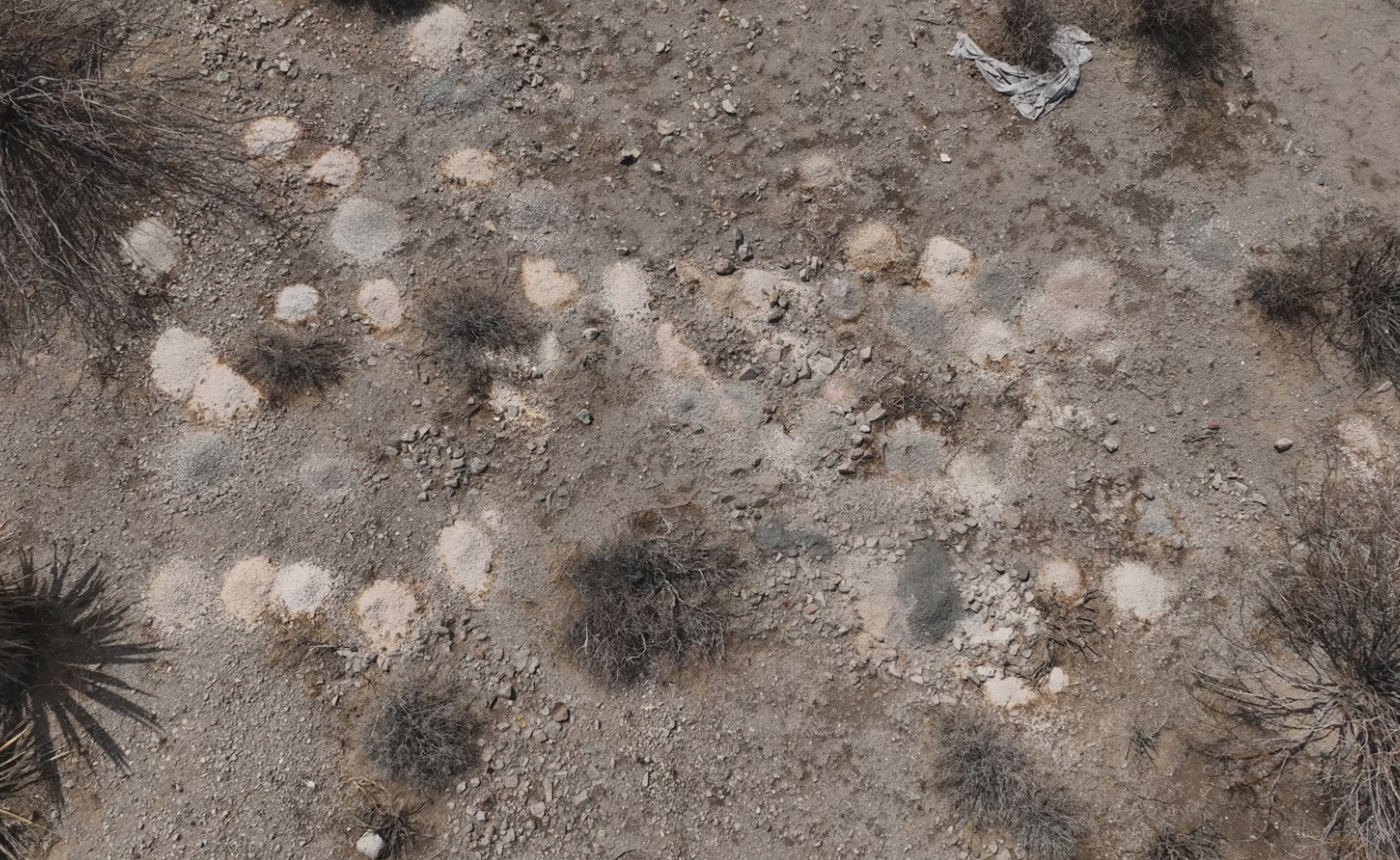 Mystery unfolds as 100+ piles of cremated remains discovered in Nevada desert